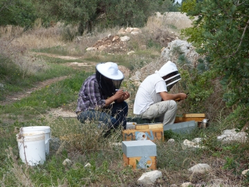 image33