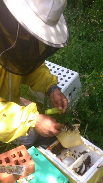 image23