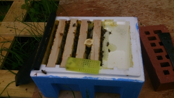 image21