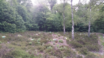 image4