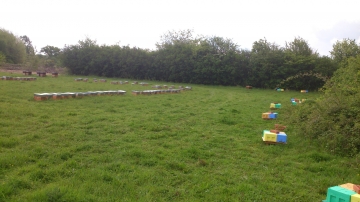 image20