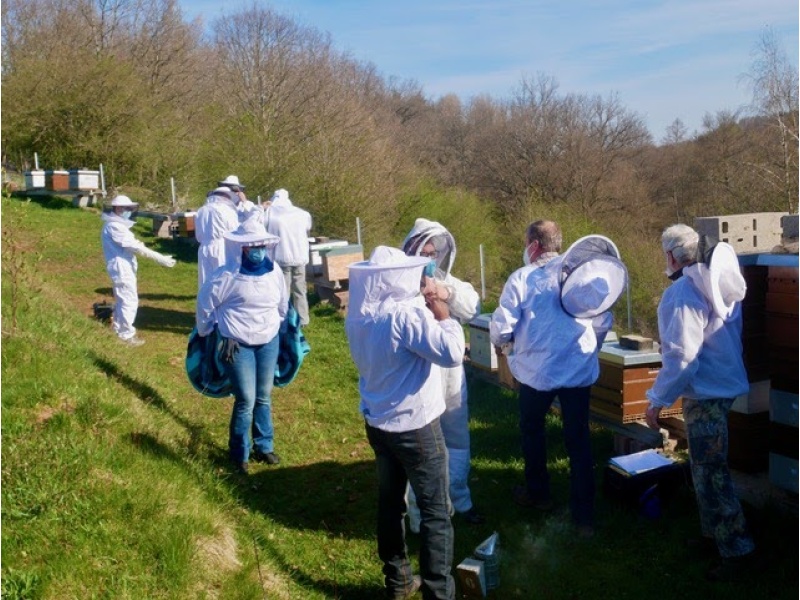 Formation niveau