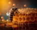 HD-wallpaper-honeycomb-and-bee-bee-honey-fresh-sweet