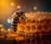 HD-wallpaper-honeycomb-and-bee-bee-honey-fresh-sweet