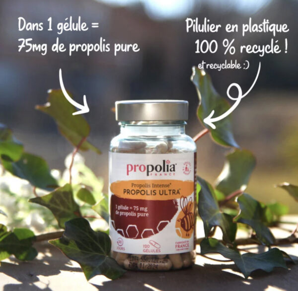 Gélules Ultra à la Propolis – Image 2