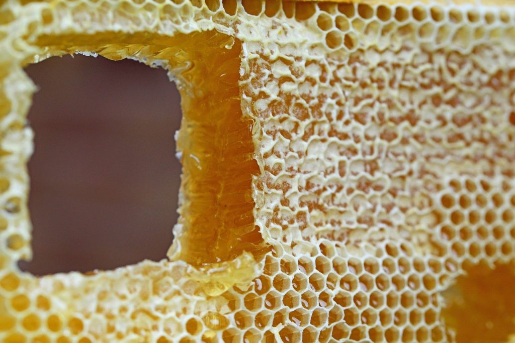 honeycomb, comb, honey